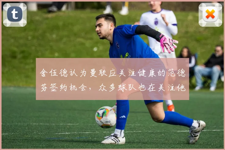 舍伍德认为曼联应关注健康的范德芬签约机会，众多球队也在关注他