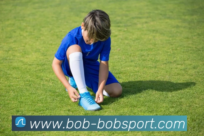 BOB足球平台生态图